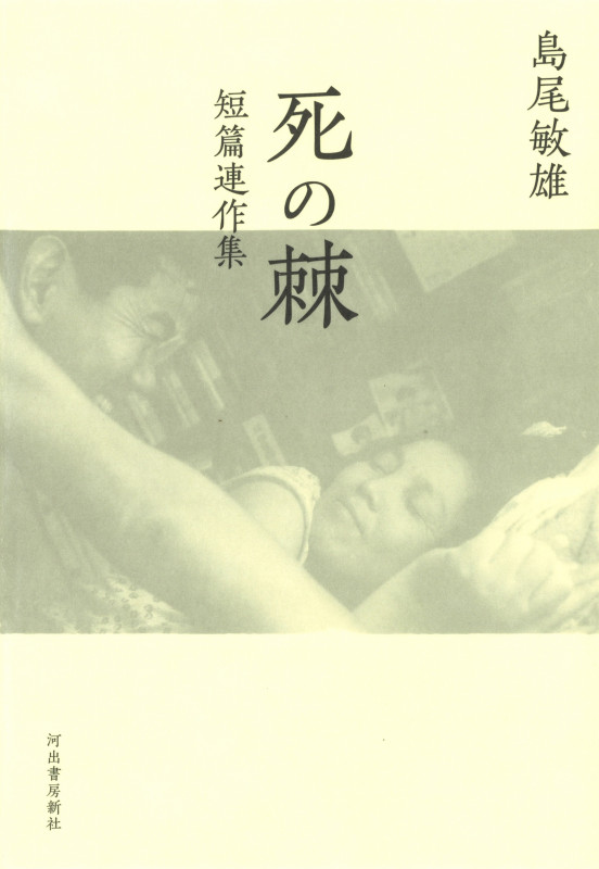 死の棘 短篇連作集